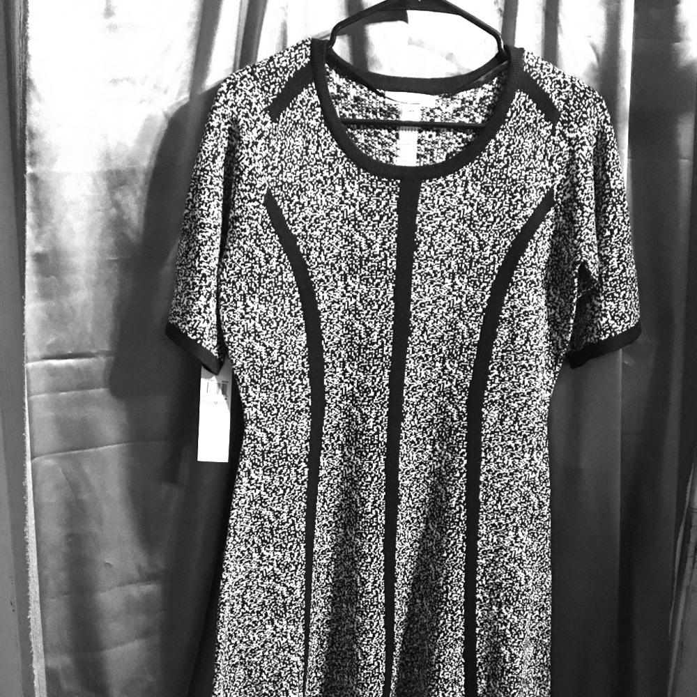 Black and Ivory London Times Dress